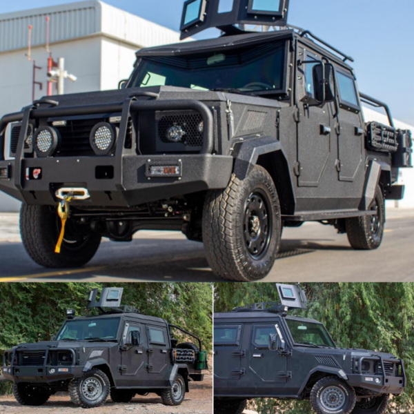 BLINDADO VALOR PLUS BASADO EN LC 79 PICK UP